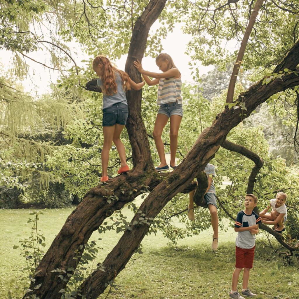joyful habit, climbing trees